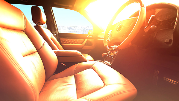 Things You Should Never Leave in The Car on Hot Days